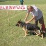 milesevac